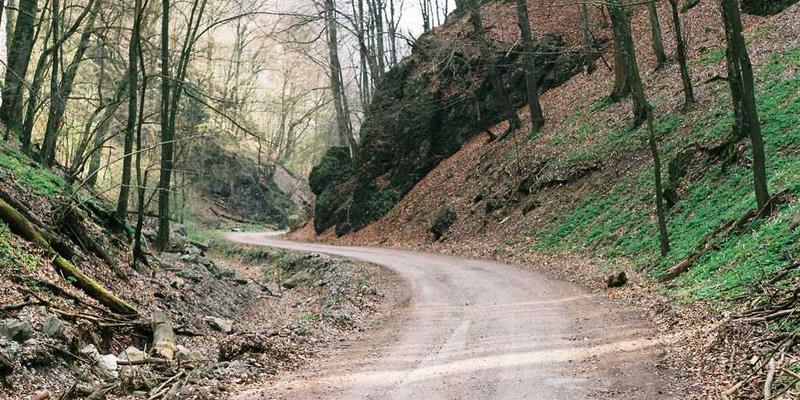 Dialoghi sull’Arte: Incontro con Elena Petrova
